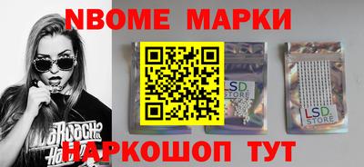 индика Сланцы
