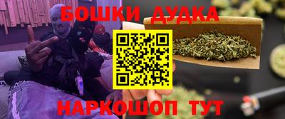 индика Сланцы