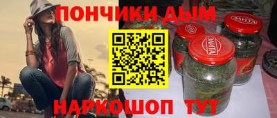 индика Сланцы