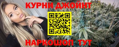 индика Сланцы