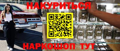индика Сланцы