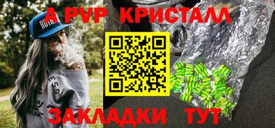 индика Сланцы
