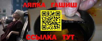 индика Сланцы