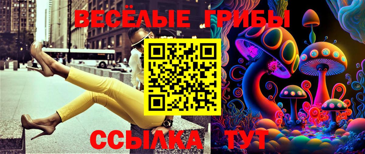 Галлюциногенные грибы Psilocybe  Вход с VPN  Надым  Псилоцибиновые грибы Magic Shrooms 