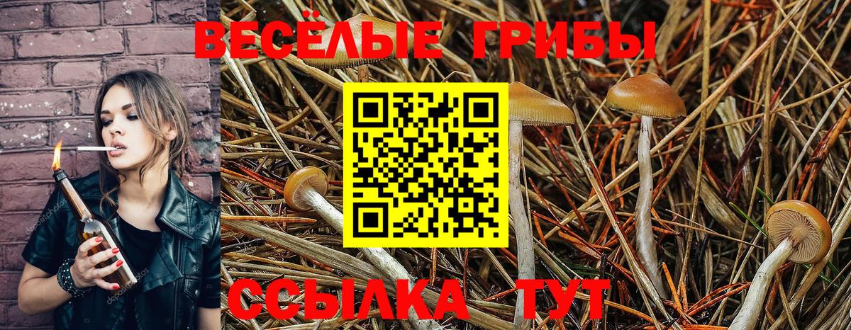 ЭКСТАЗИ  APVP СК   МЕТ  Вход с VPN  Гашиш  МЕФ кристаллы  МАРИХУАНА  Надым  Гашиш  Кокаин 