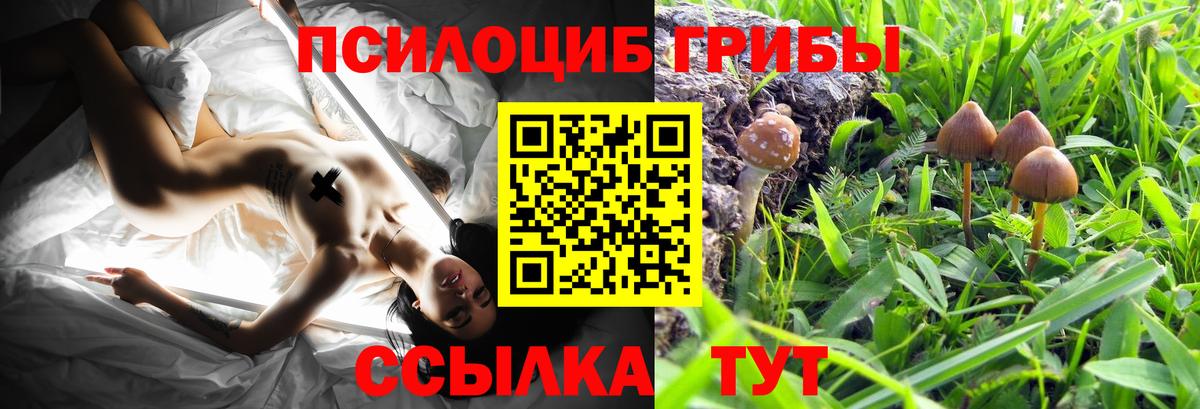 COCAIN Надым